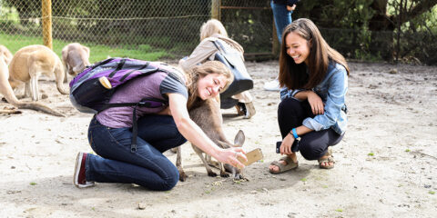 Students posing with Kangaroos