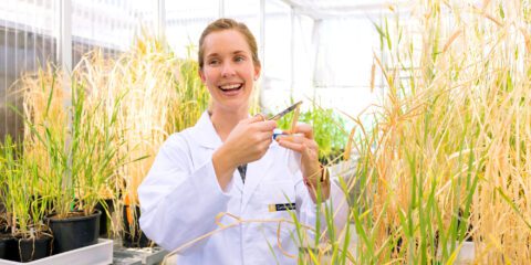 Female researcher taking agricultural sample