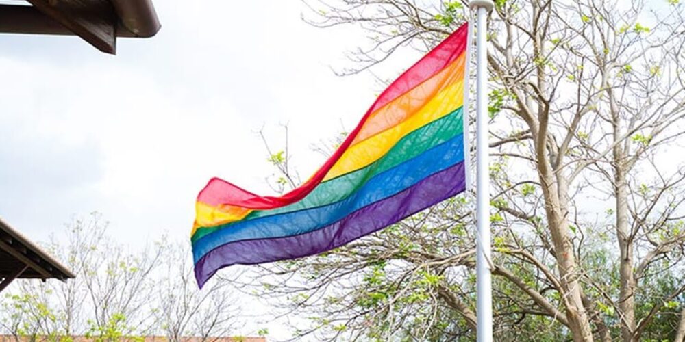 LGBTQ+ Pride flag raised on campus - play video